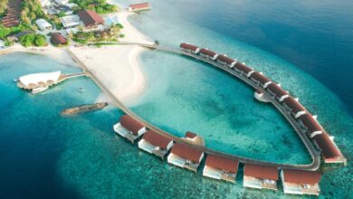 aerial view of body of water during daytime